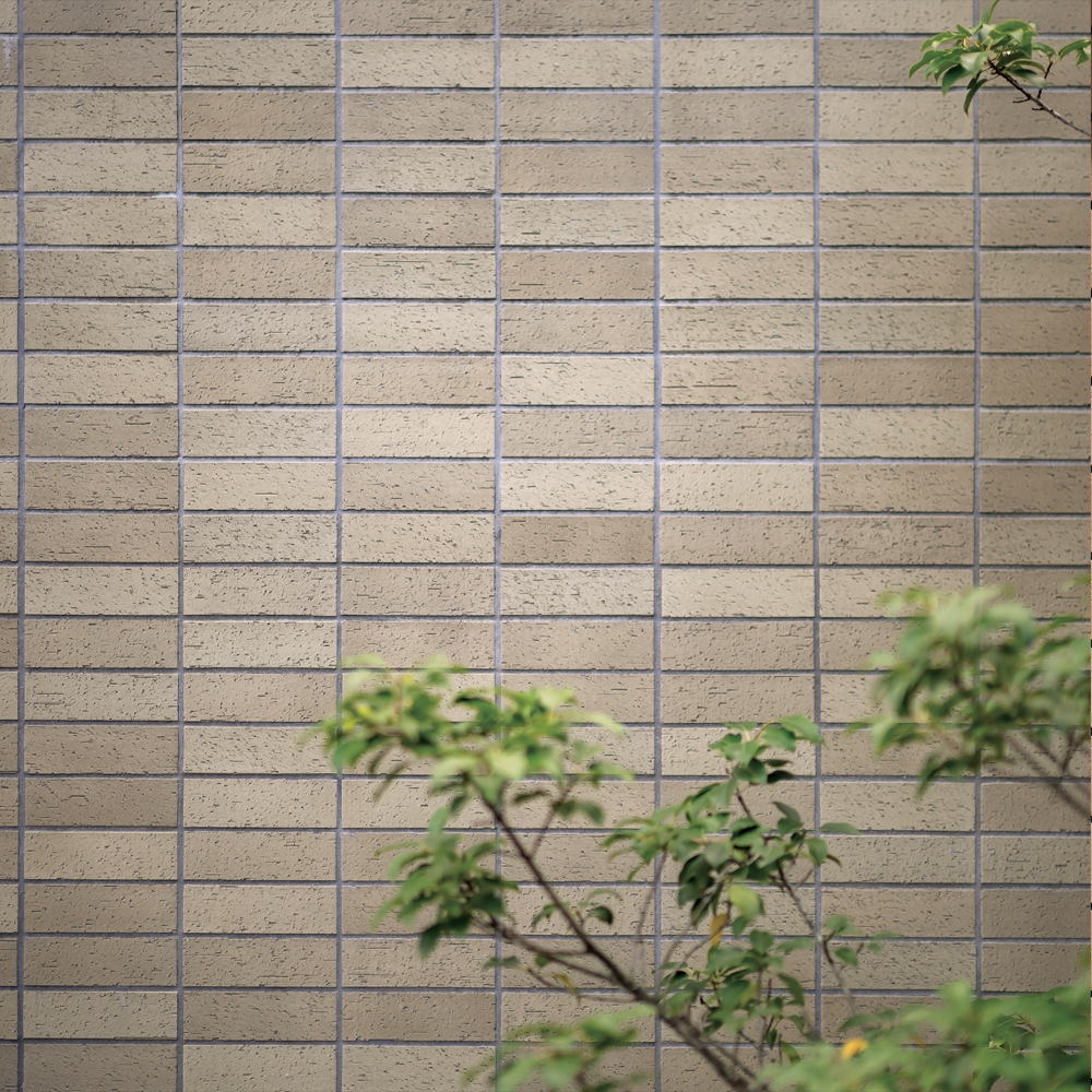 コラゾン（50三丁）【限定】